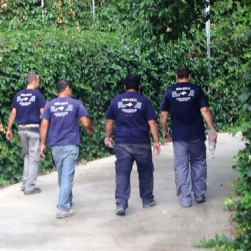 Imagen de operarios con camiseta y logotipo de la empresa